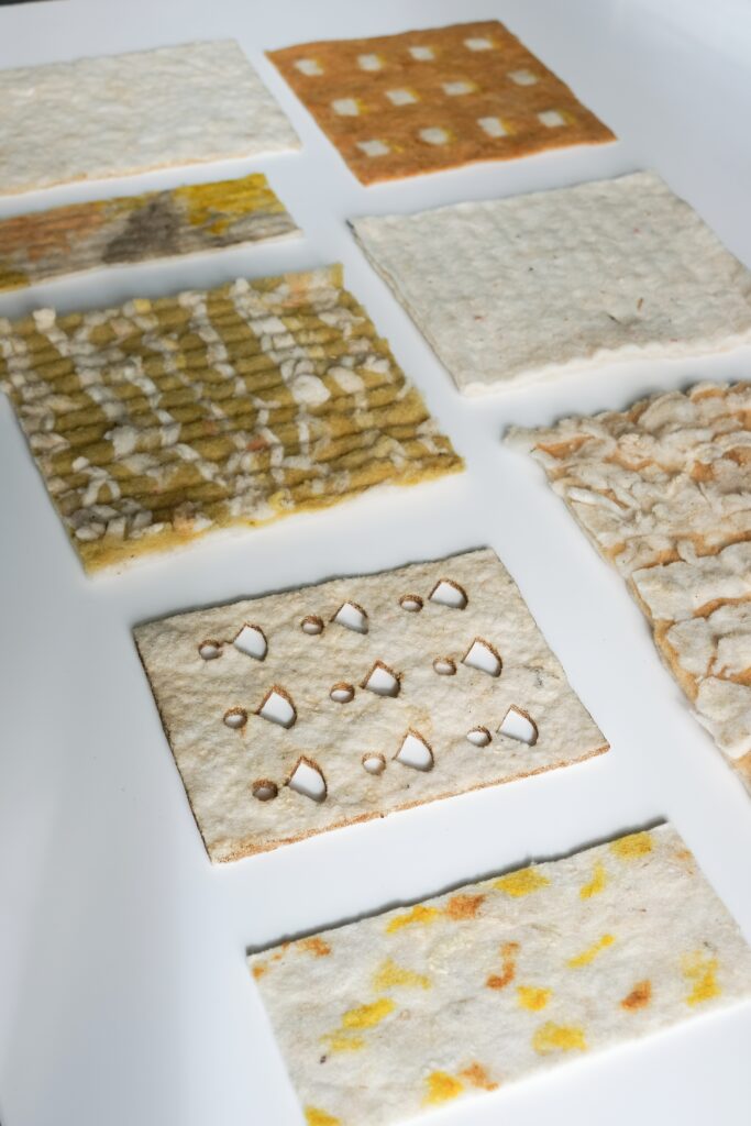 Du mois de mars jusqu'au mois de juin
Cartographie sensorielle du territoire au fils des saisons comme forme de transmission et de partage des connaissances