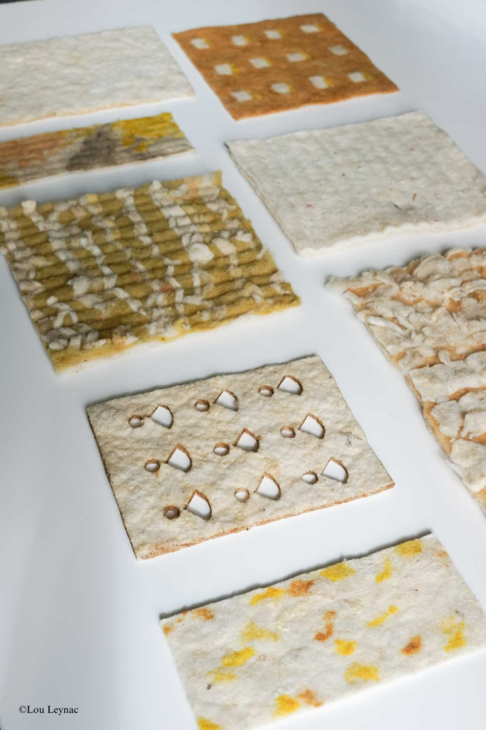 Du mois de mars jusqu'au mois de juin

Cartographie sensorielle du territoire au fils des saisons comme forme de transmission et de partage des connaissances